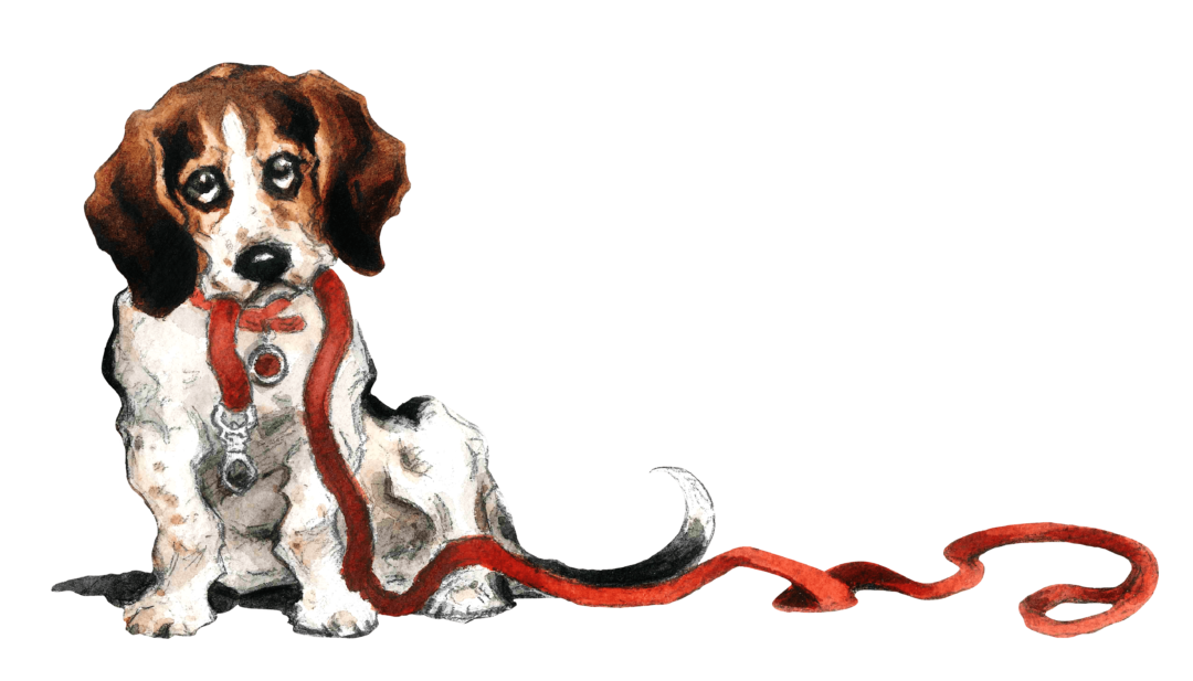 Pet Portraits Midtown Mutts