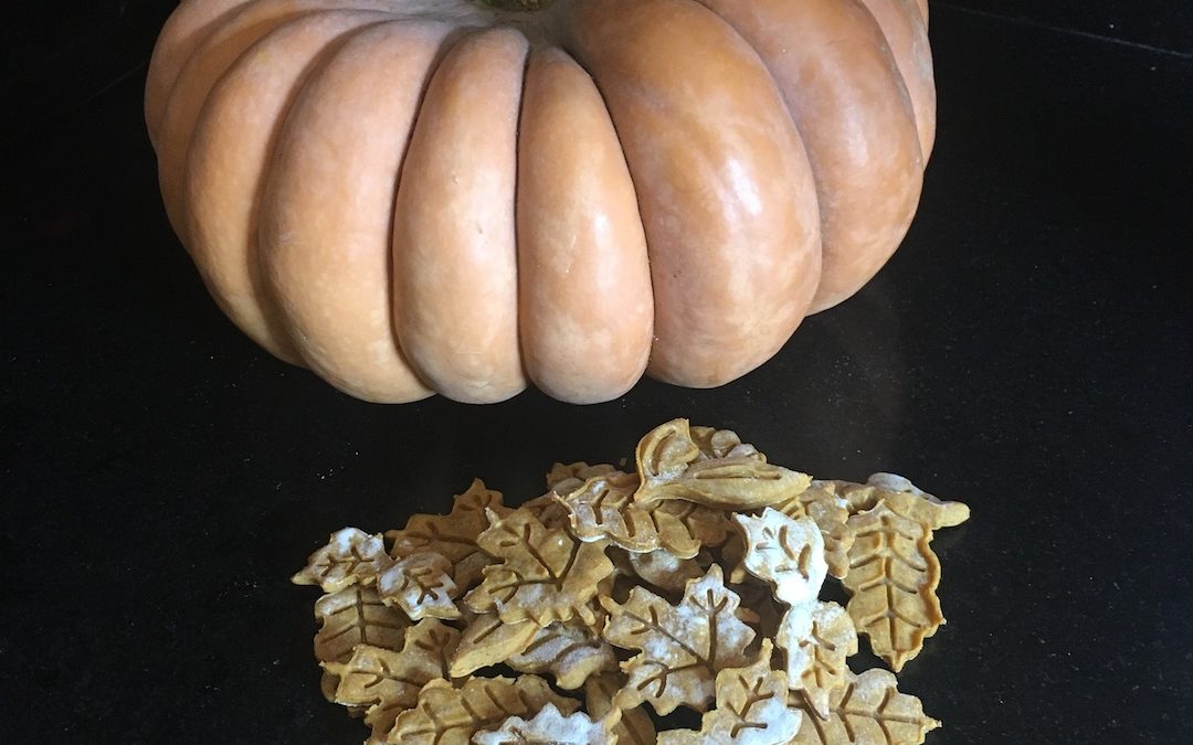 Pumpkin Treats Recipe