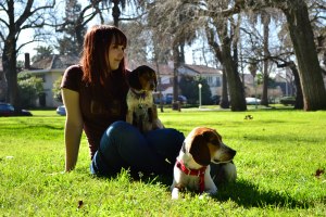 Cassi Perez certified dog trainer