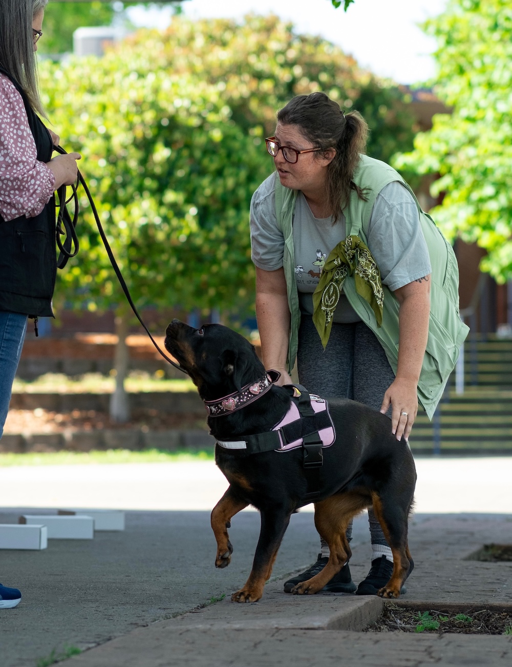 midtown mutts sacramento certified dog training